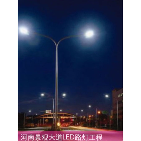 河南景观大道LED路灯工程